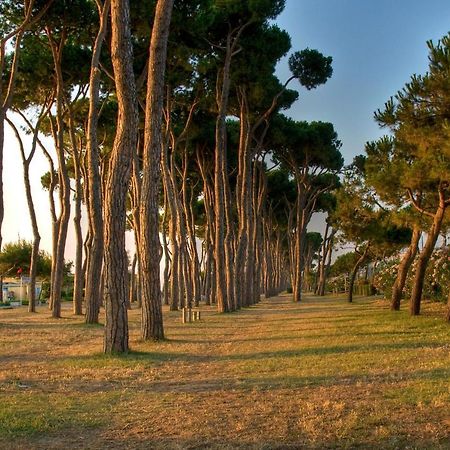פינטו Green Bay Village מראה חיצוני תמונה