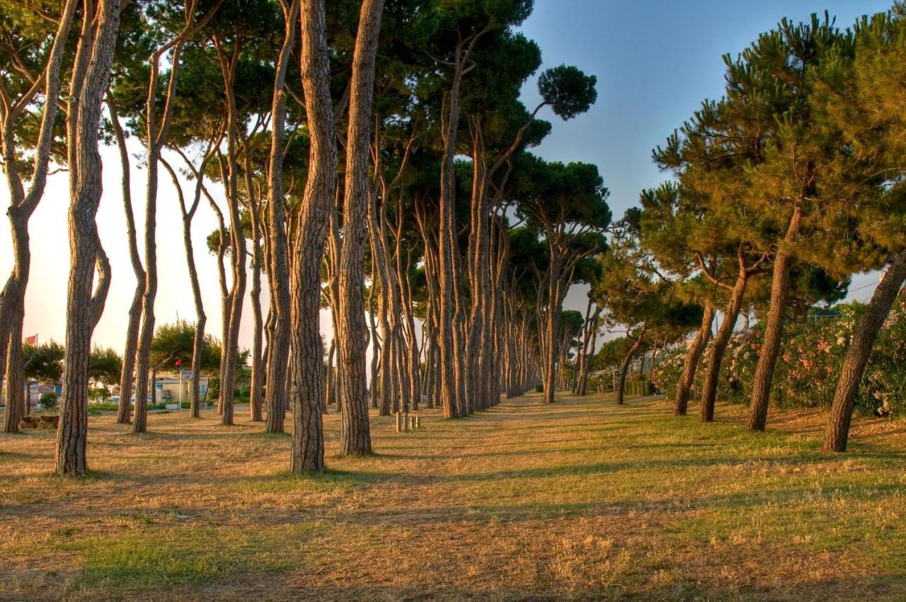 פינטו Green Bay Village מראה חיצוני תמונה